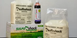NextAgro, agroquimicos en cordoba, sulfo shock consejos