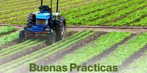 Next Agro, buenas prácticas agricolas, agroquimicos en cordoba, venta de agroquimicos cordoba